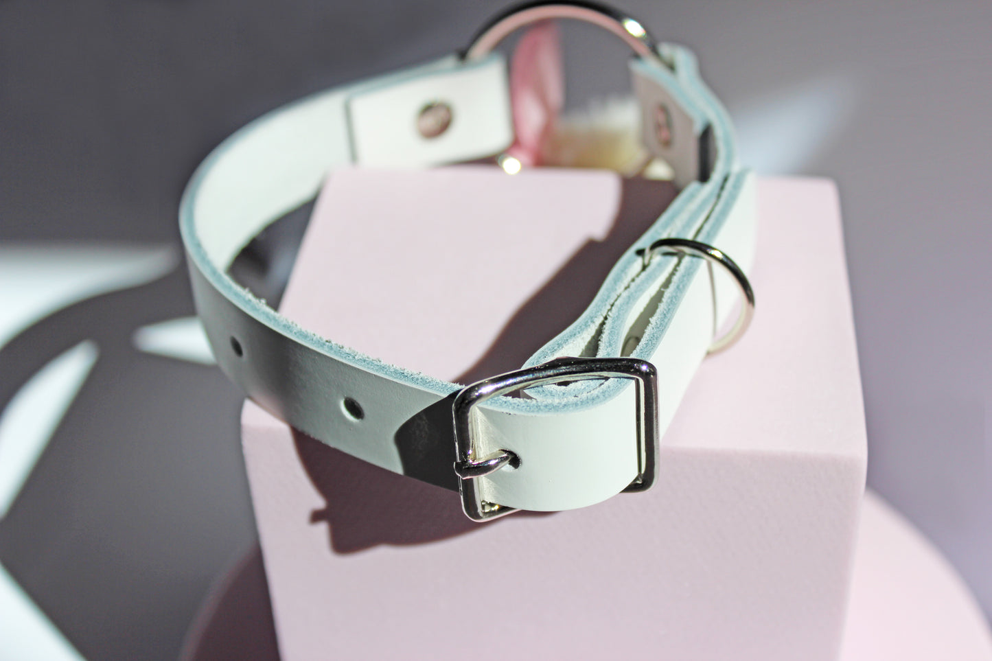 kawaii white pom collar turned around to show the silver buckle collar on the white leather set on a pink against a white background.